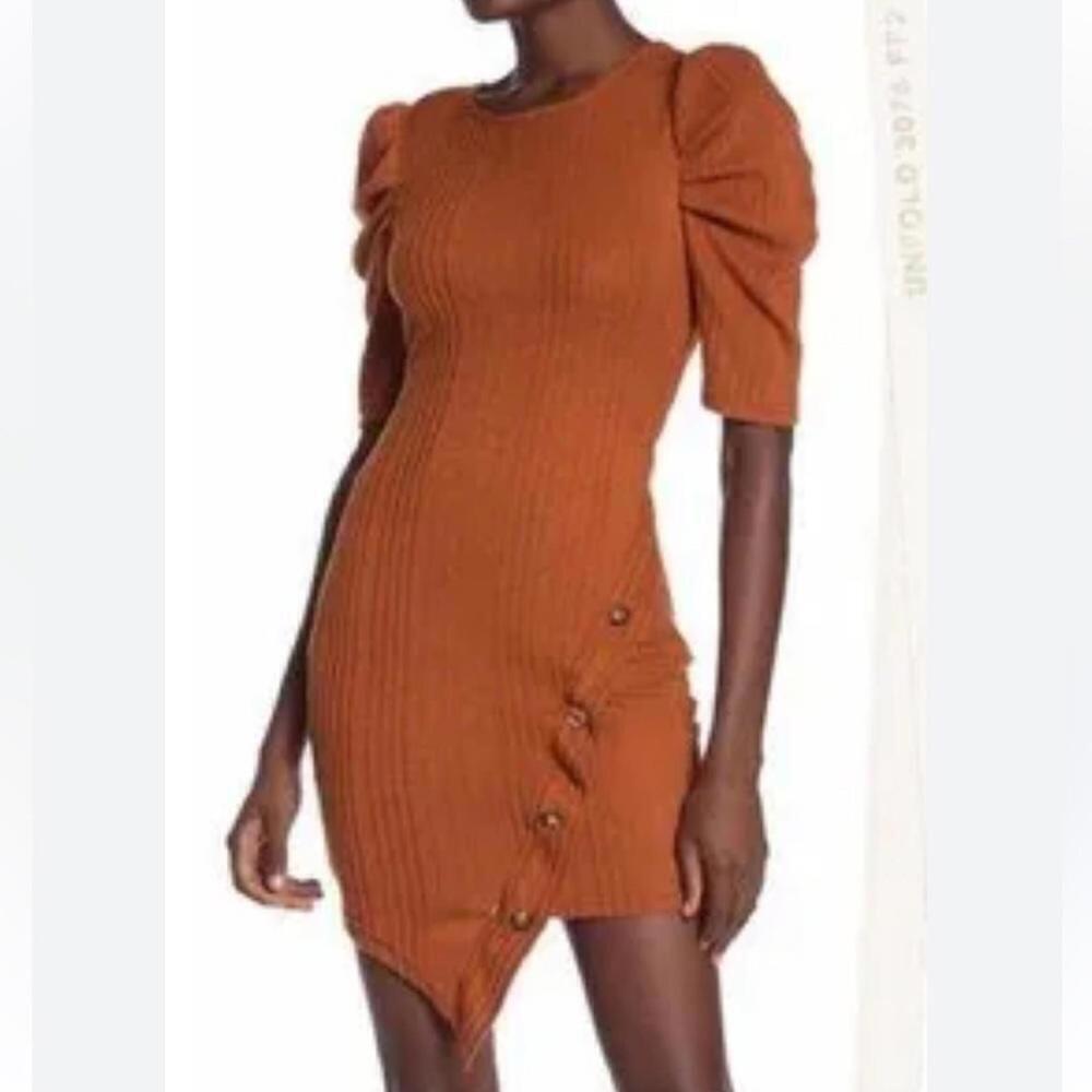Bailey Blue Terracotta Knit Puff Sleeve Dress